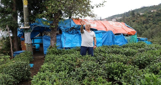 15 yıldır yaz kış çadırda yaşıyor