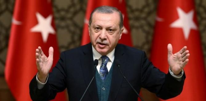 Erdoğan, 3 Afrika ülkesine gidecek