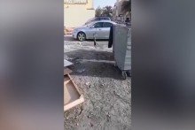 Amatör kuş avcısı kedi gülümsetti