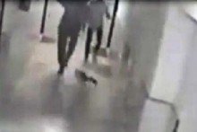 Evinin önüne gelen kediye tekme attı, ortalık karıştı!