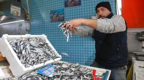 Fiyatı 25 liradan 8 liraya düştü