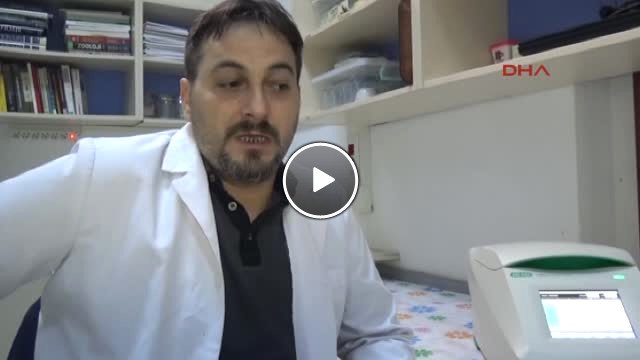 Rize Zika Virüsü Salgınına Neden Olan Sivrisinek, Türkiye de Aranacak