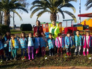 Rize’de Minik Ellerin Diktiği Fidanları Çaldılar