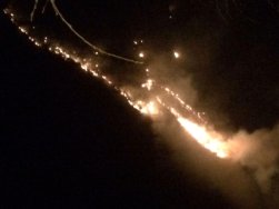 Rize de Orman Yangını