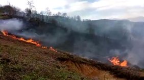 Arazisindeki Otları Yakmak İsterken Yangın Çıkardı