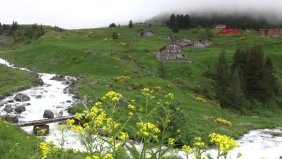 Rize Doğu Karadeniz in Yeni Gözdesi Elevit Yaylası Hd