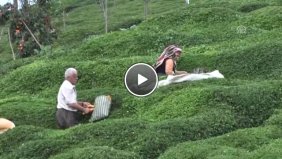 Üreticilerimiz Çaykur un Çağrılarına Uysun  - Rize