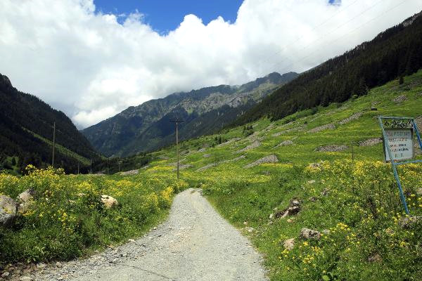 Doğu Karadeniz in Yeni Gözdesi Elevit Yaylası