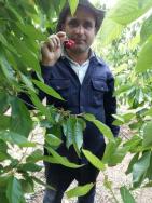 Kuduz teşhisi koyulan Azerbaycanlı işçi hayatını kaybetti