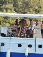 Mehmet Günsür tatilde