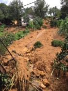 Selin vurduğu Rize'de 15 eve felaket, 80 eve tahliye kararı