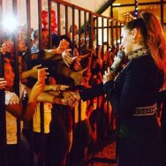 Hadise hayranlarıyla demir parmaklıkların peşinde selamlaştı