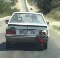 Bagajda taşınan koyunun nefes alması için farı söktü