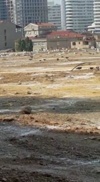 Kadıköy Belediyesi’nin hayvan pazarı mikrop saçıyor