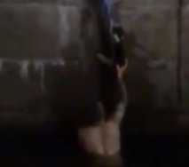 Rusya'da dereye düşen kediye kurtarma operasyonu