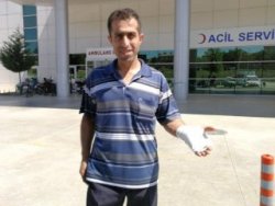 Bayramın birincil günü 7 bin 88 acemi kasap hastanelik oldu