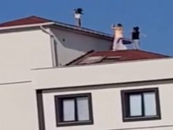 Fotoğraf çekmek için ufak kızın canını hiçe saydılar