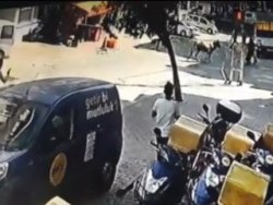 İstanbul'da kaçan kurbanlık boğa ortalığı karıştırdı