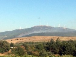 Manisa'da 6 hektarlık orman yandı