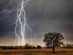 Sakarya'da şimşek düştü: 2 zarar görmüş