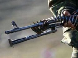 Van'da ağaca çıkıp saklanan terörist yakalandı