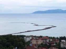 Bakan Pakdemirli: Ordu'yu Vuran Sel Nedeniyle Fındıktaki Hasar 600-700 Ton