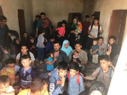 Van'da 299 kaçak yakalandı