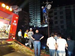 Yanan gecekonduda mahsur kalan köpekler kurtarıldı