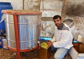 Yalnızca Isparta'da Üretilen Lavanta Balının Kilosu 250 Lira