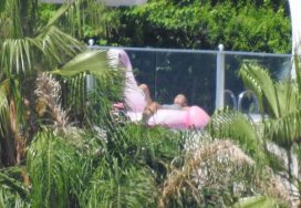 Sıla 3 saat flamingoda yattı