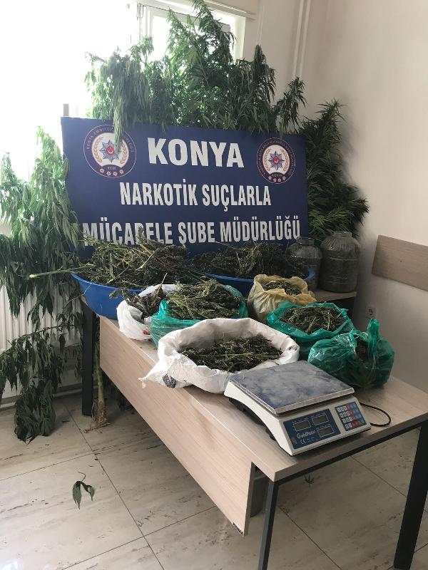 Kenevirlerin boyu bahçe duvarını aşınca yakalandı