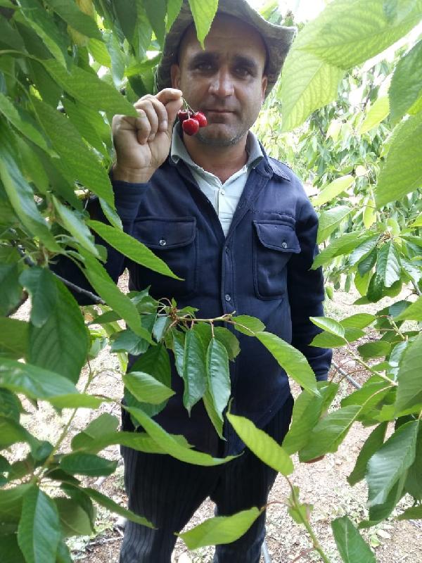 Kuduz teşhisi koyulan Azerbaycanlı işçi hayatını kaybetti