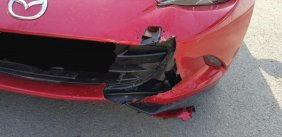 Sokak köpekleri lüks aracı parçaladı