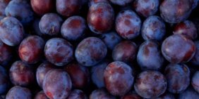 Hem iştah kesiyor hem neşelendiriyor