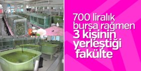 700 liralık burs bahşedilen bölüme 3 öğrenci yerleşti