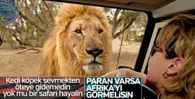Afrika ’da safari için en çılgın rotalar
