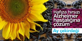 Ay çekirdeği Alzheimer ’ı önlüyor