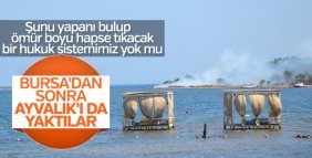 Ayvalık ’ta 3 dekarlık orman kül oldu