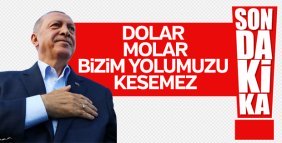 Başkan Erdoğan'dan döviz ve altınları bozdurun çağrısı