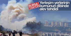 Bursa'da orman yangını