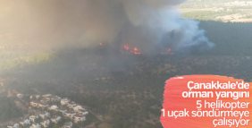 Çanakkale'de orman yangını
