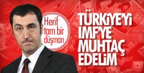 Cem Özdemir Türkiye'nin IMF'den yardım almasını bekliyor