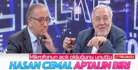 İlber Ortaylı'nın Hasan Cemal gafı