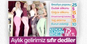 Kedicikler aylık gelirlerinin olmadığını söyledi