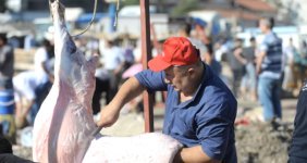 Anadolu'dan İstanbul'a Gelen Kasaplar, Bayramın Birincil Üç Gününde 1 Aylık Kazanç Elde Etti