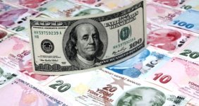 Dolar, Yatırımcısına Bir Yılda Yüzde 75 Kar Ettirdi