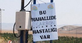 Et ve Süt Kurumu, Şarbon Hastalığı Meydana Çıkan Özel Bir İşletmeyi Karantinaya Aldı!