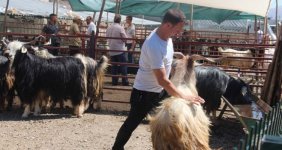 Kurban pazarında aşırılık