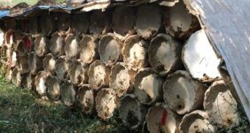 Siirtli Bal Üreticisi, 3 Bin TL'ye Çalıştıracak Eleman Bulamıyor!