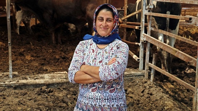 4 Bileziğini Satarak Hayvancılığa Başladı, Şimdi Paraya Para Demiyor